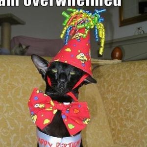 Meet your Posher, Di